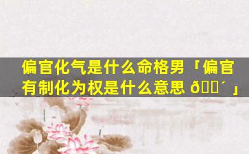 偏官化气是什么命格男「偏官有制化为权是什么意思 🐴 」